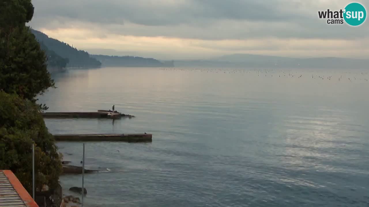 Webcam del restaurante BellaRiva | Costa de Trieste – vista hacia el castillo de Miramare