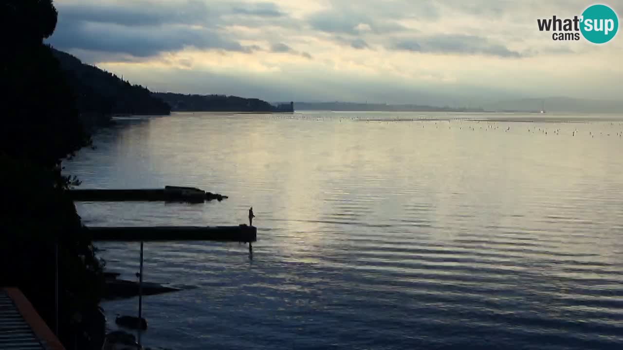 Webcam du restaurant BellaRiva | Côte de Trieste – vue sur le château de Miramare