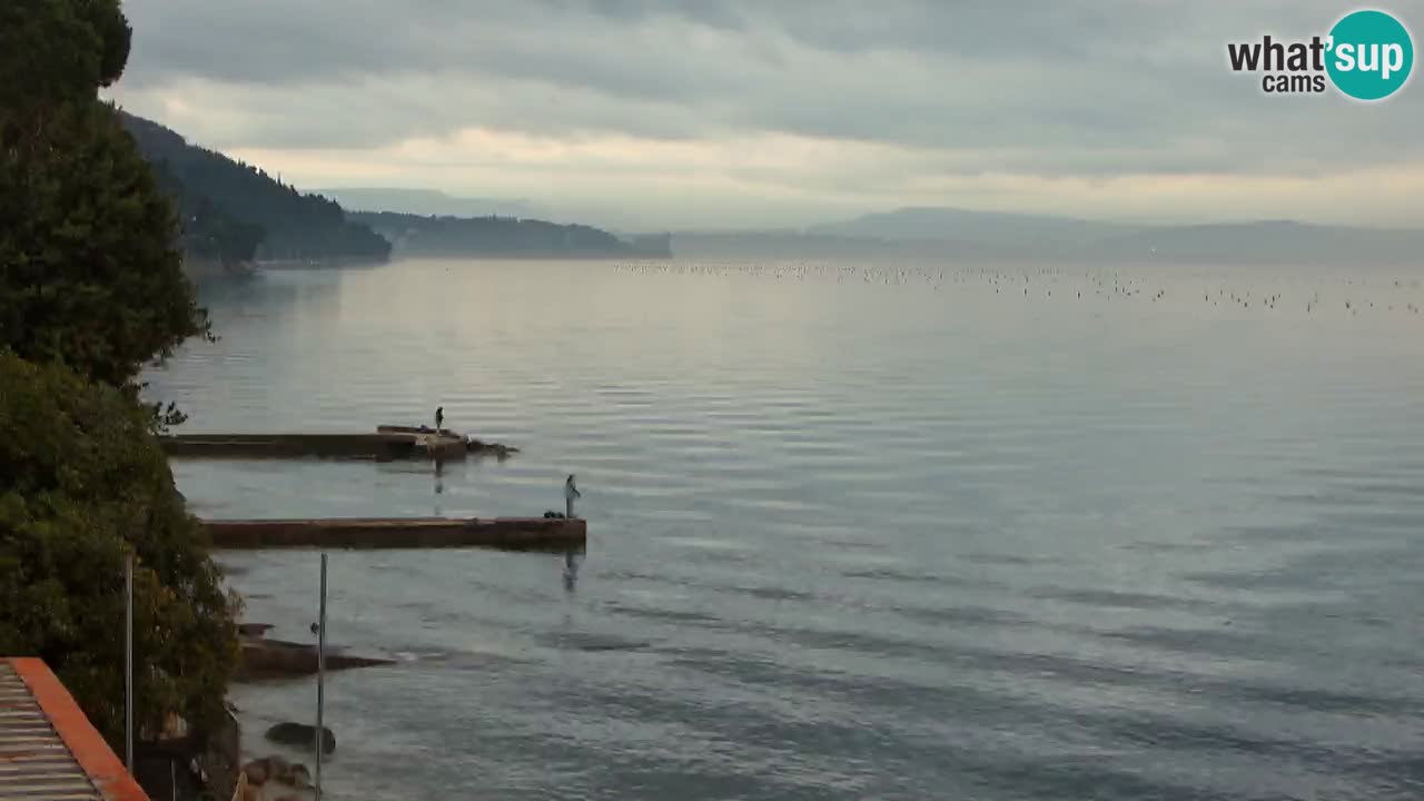 Webcam Restaurant BellaRiva | Küste von Triest – Blick auf das Schloss Miramare