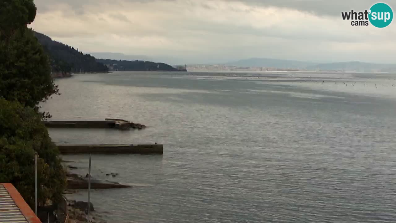 Webcam del restaurante BellaRiva | Costa de Trieste – vista hacia el castillo de Miramare