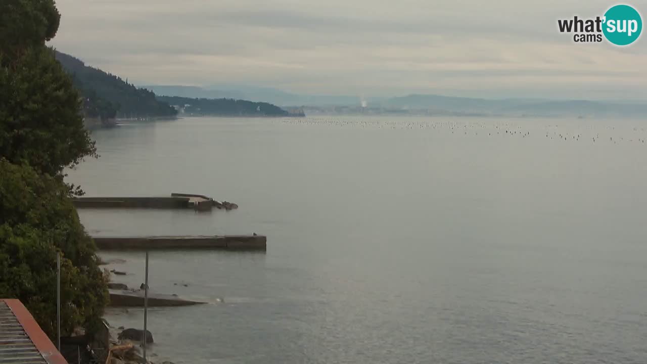 Webcam BellaRiva restaurant | Trieste coast – view to Miramare castle