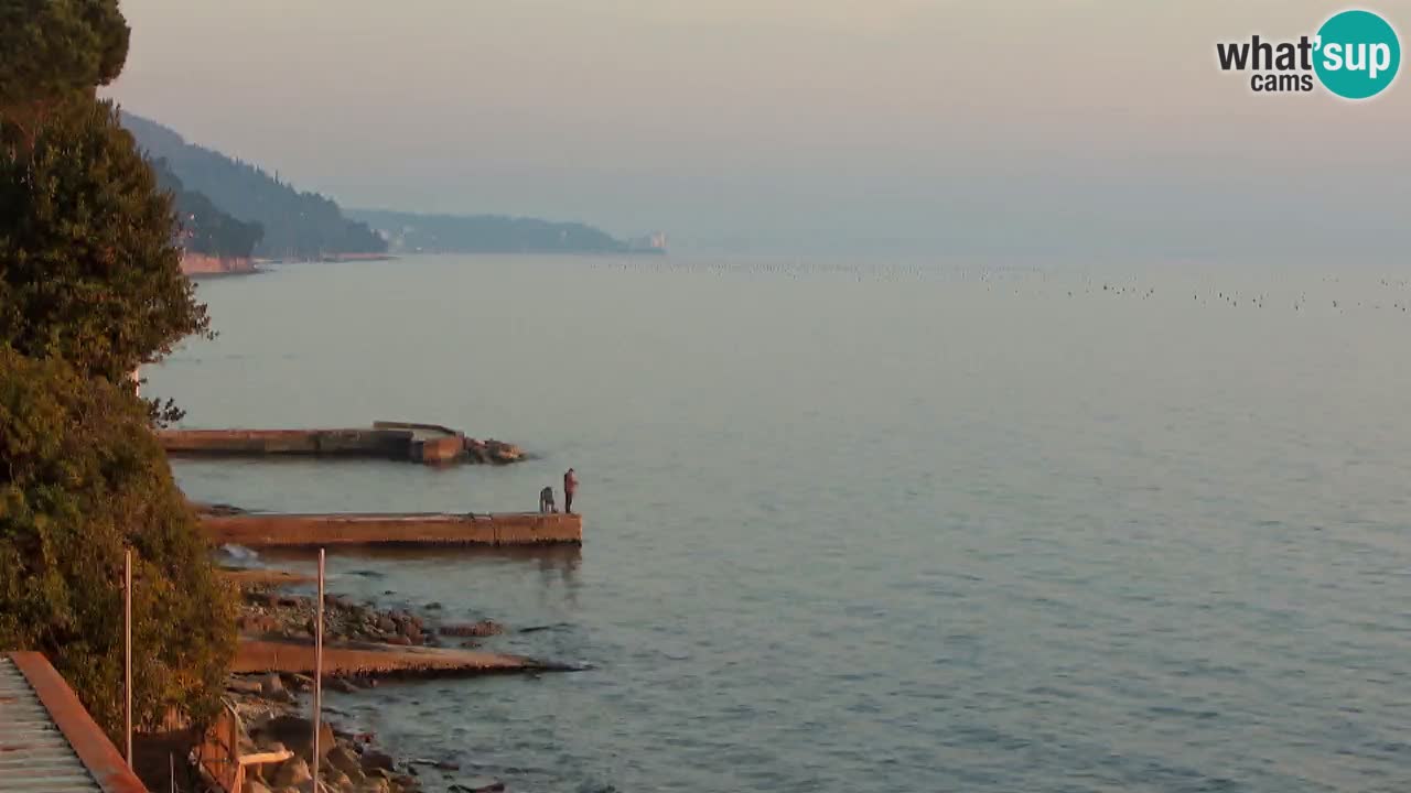 Webcam del restaurante BellaRiva | Costa de Trieste – vista hacia el castillo de Miramare