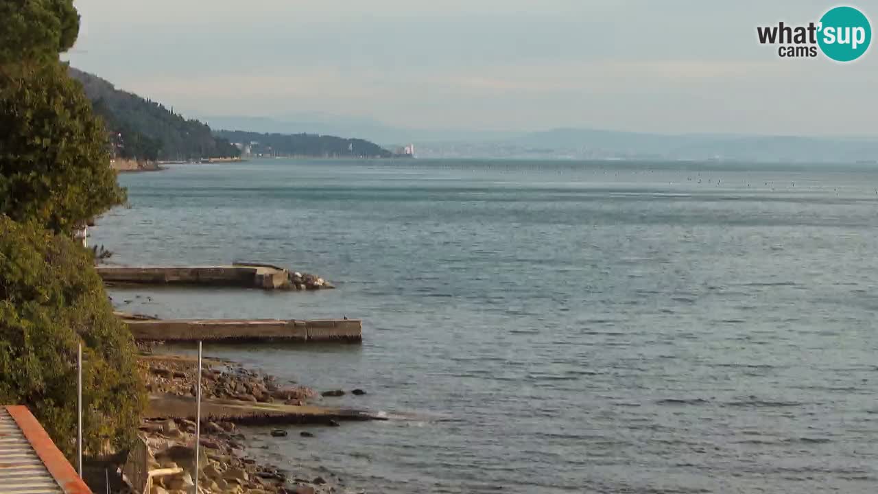 Webcam BellaRiva restaurant | Trieste coast – view to Miramare castle