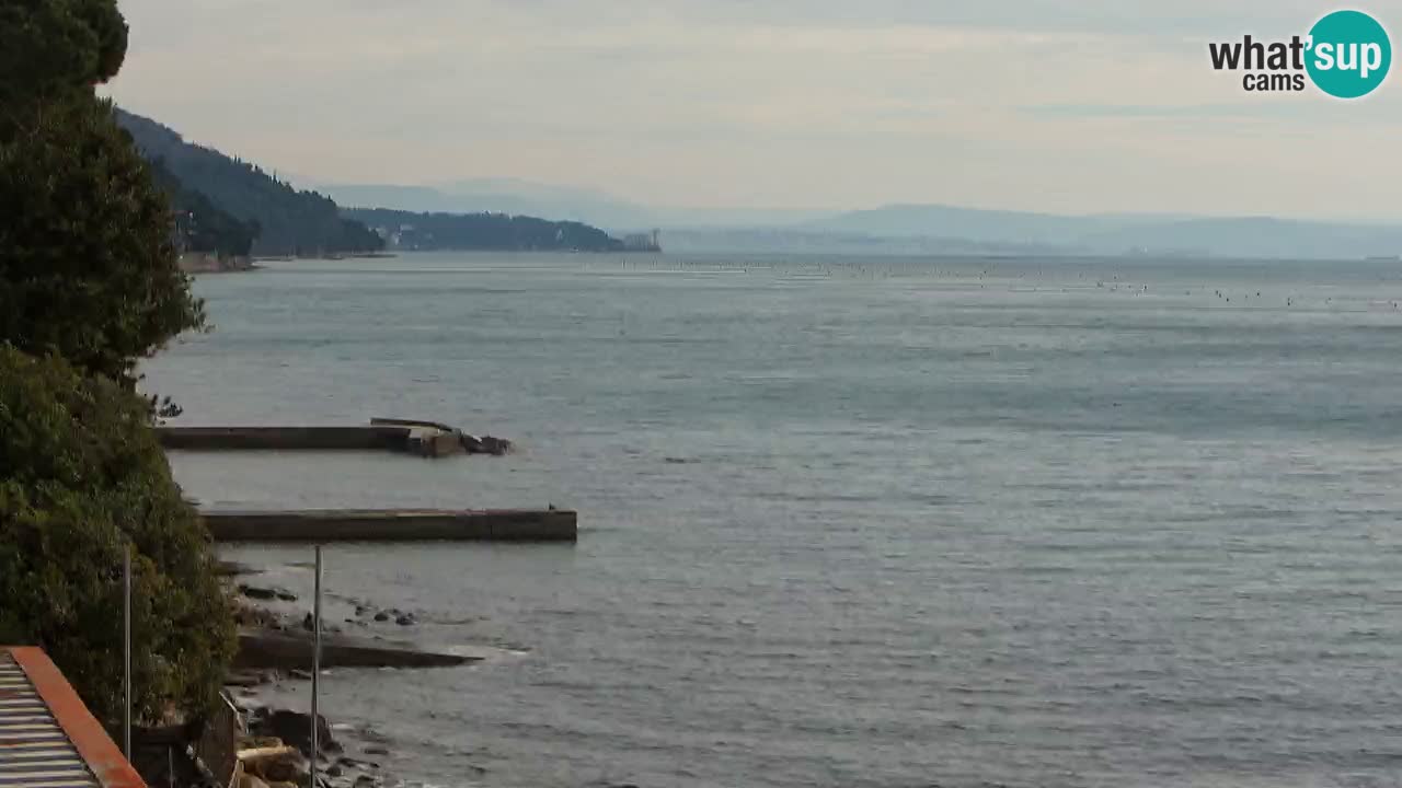 Webcam BellaRiva restaurant | Trieste coast – view to Miramare castle