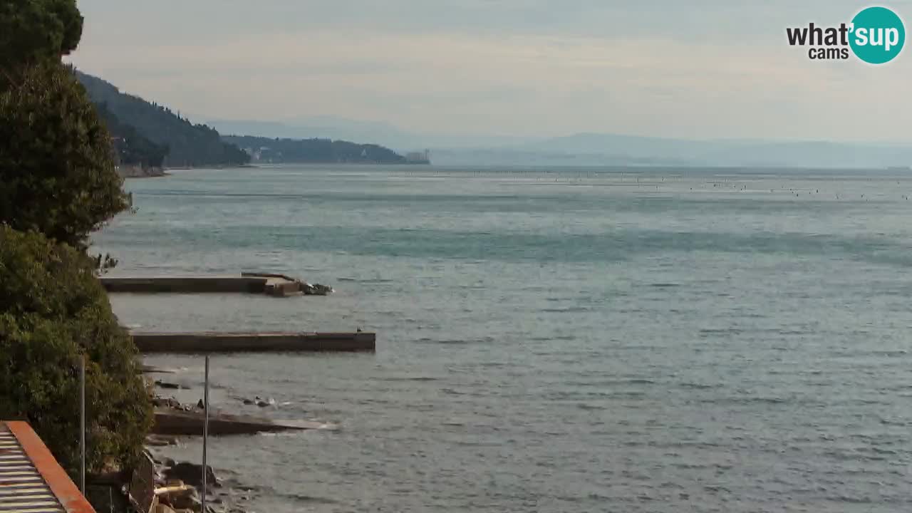 Webcam del restaurante BellaRiva | Costa de Trieste – vista hacia el castillo de Miramare