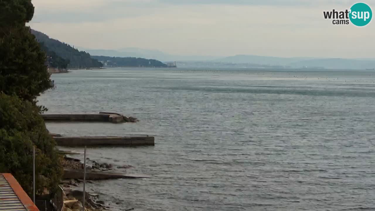 Webcam du restaurant BellaRiva | Côte de Trieste – vue sur le château de Miramare