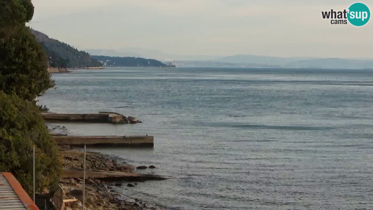 Webcam del restaurante BellaRiva | Costa de Trieste – vista hacia el castillo de Miramare