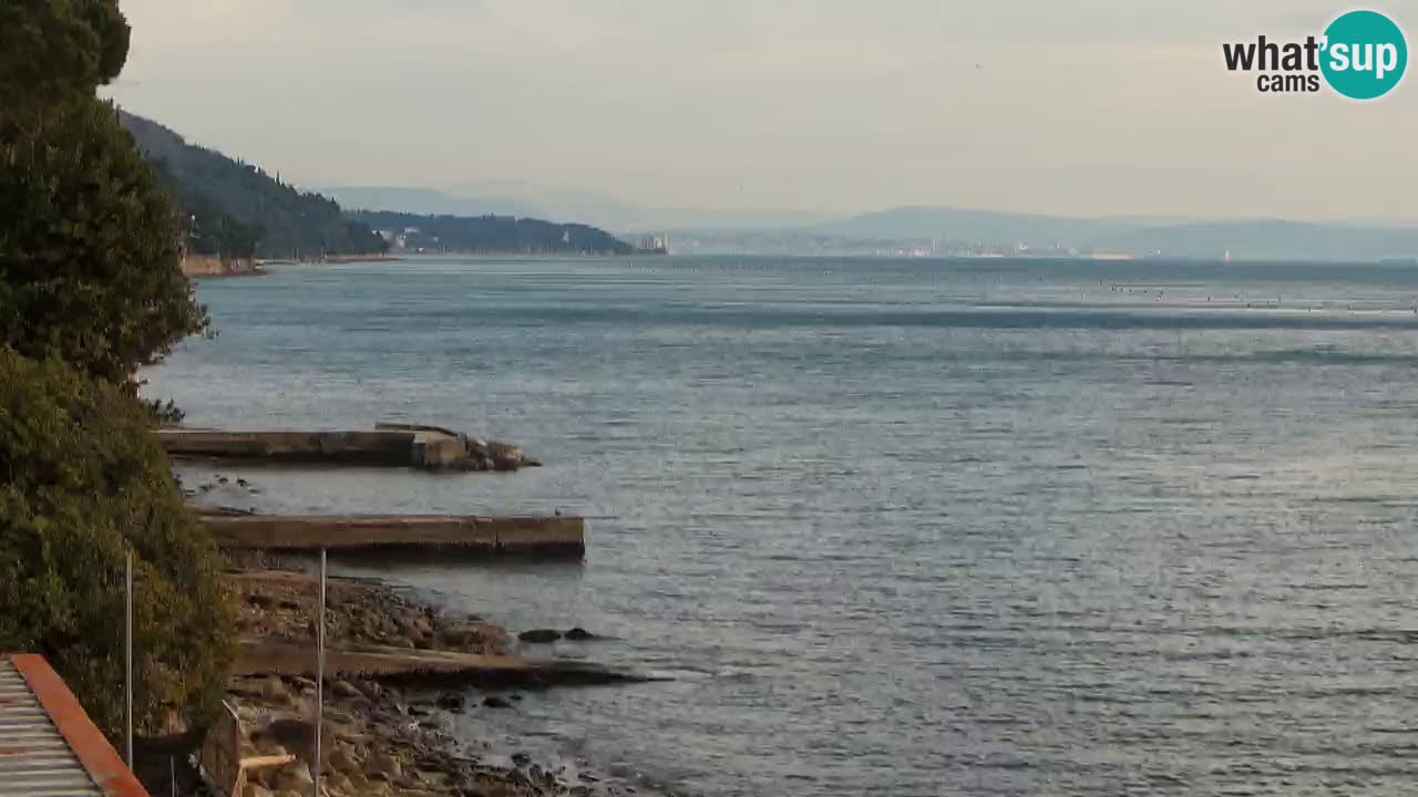 Webcam BellaRiva restaurant | Trieste coast – view to Miramare castle