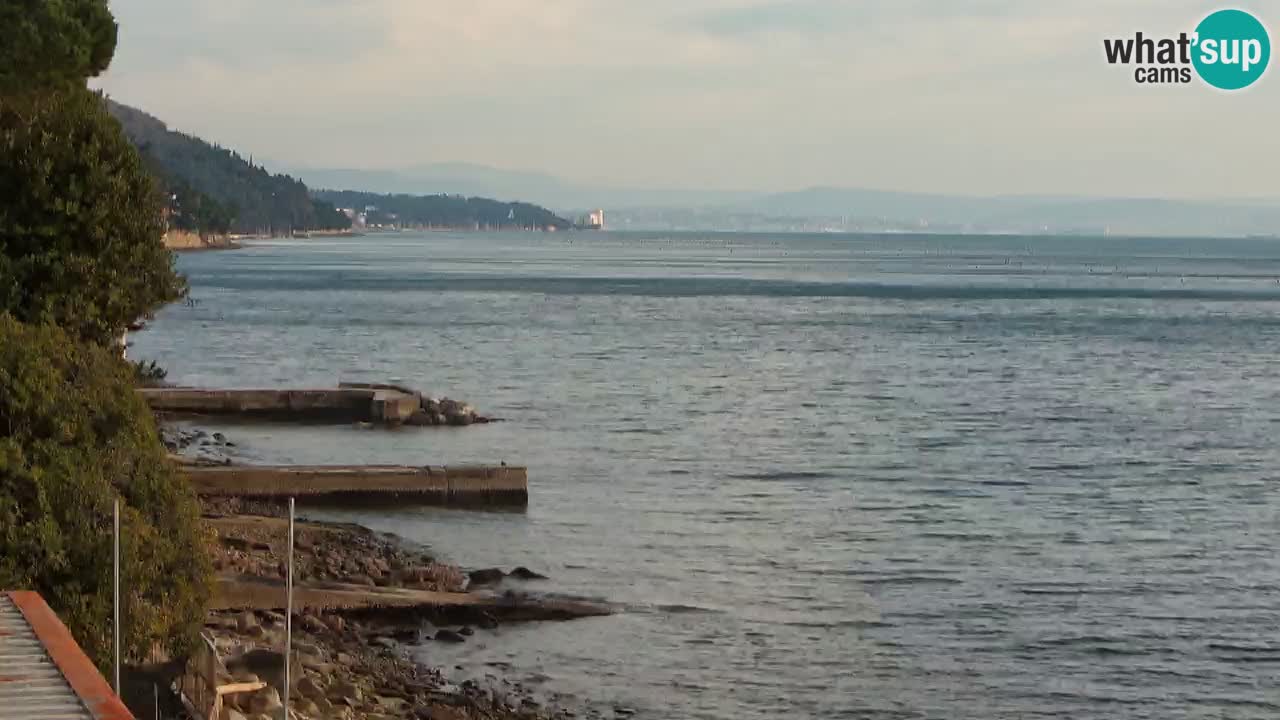 Webcam Restaurant BellaRiva | Küste von Triest – Blick auf das Schloss Miramare