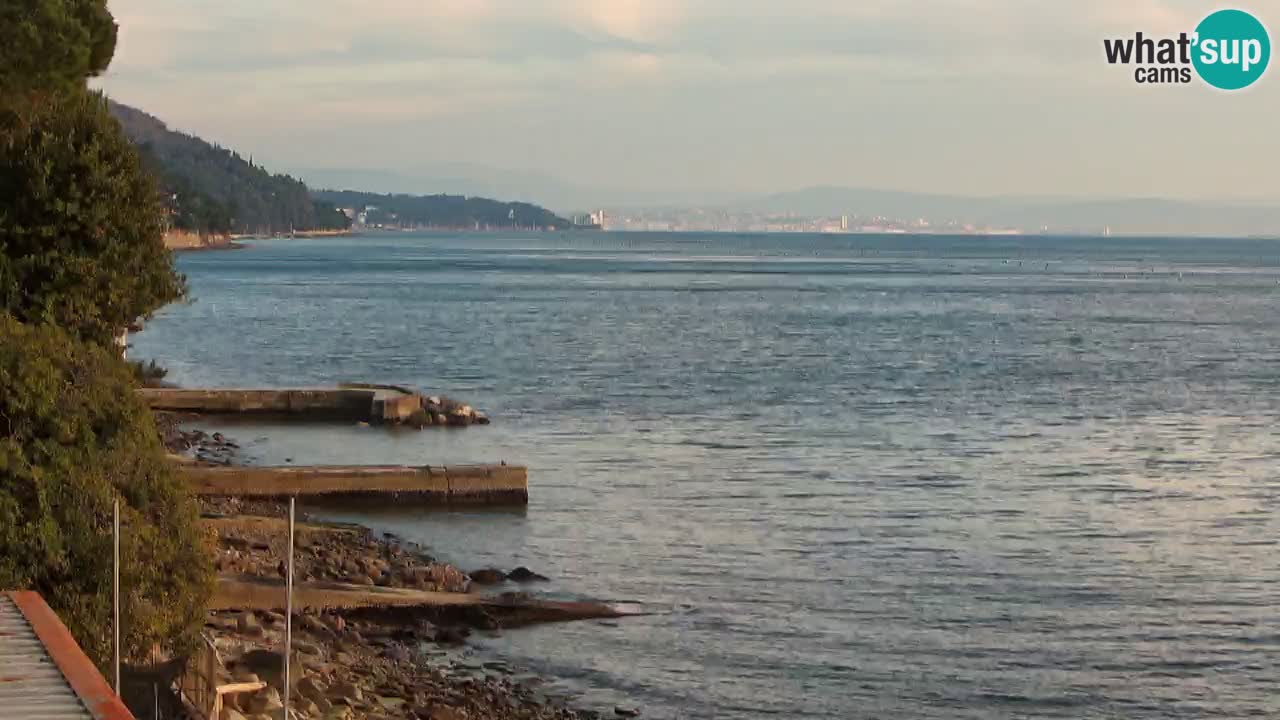 Webcam du restaurant BellaRiva | Côte de Trieste – vue sur le château de Miramare