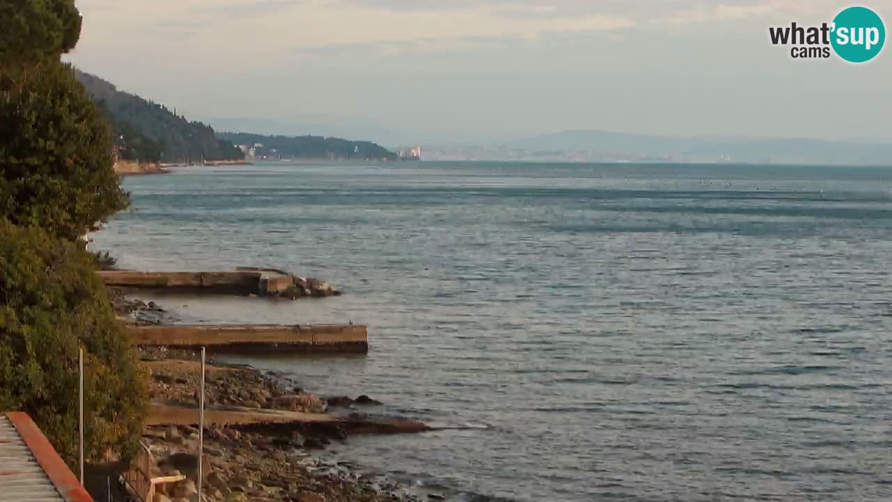 Webcam du restaurant BellaRiva | Côte de Trieste – vue sur le château de Miramare