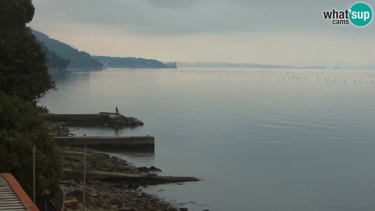 Webcam BellaRiva restaurant | Trieste coast – view to Miramare castle