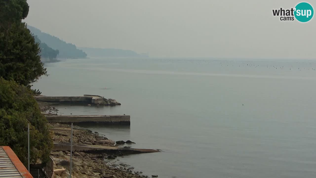 Webcam del restaurante BellaRiva | Costa de Trieste – vista hacia el castillo de Miramare