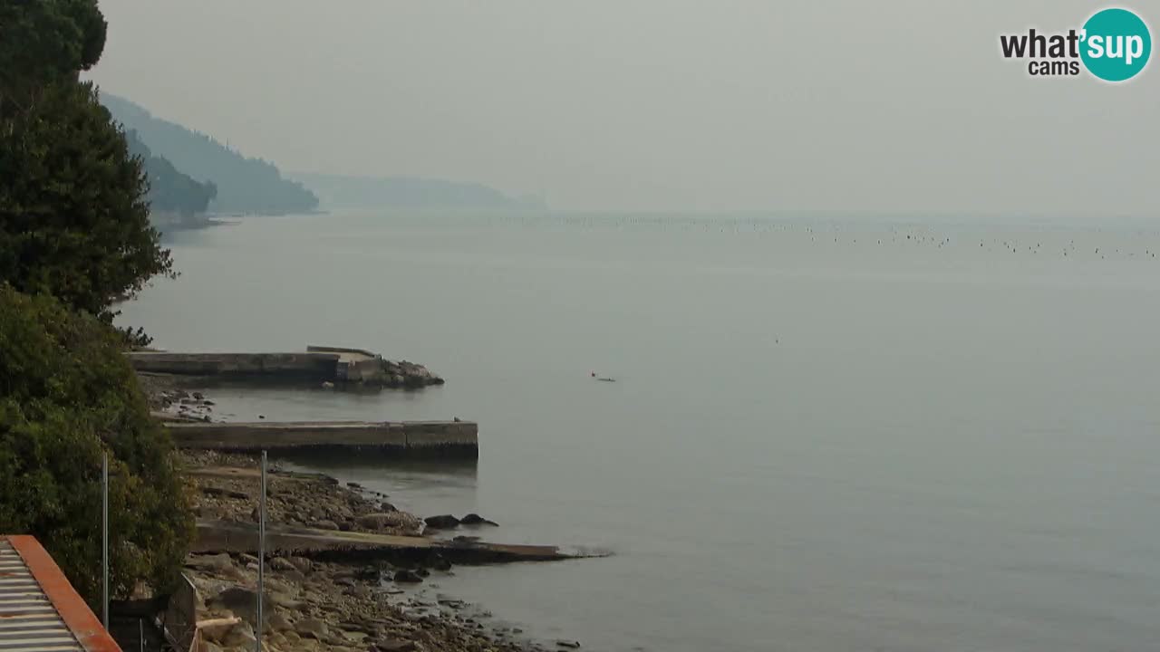 Webcam del restaurante BellaRiva | Costa de Trieste – vista hacia el castillo de Miramare