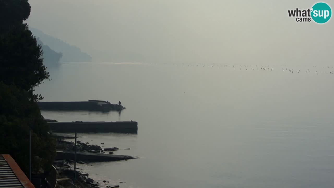 Webcam Restaurant BellaRiva | Küste von Triest – Blick auf das Schloss Miramare