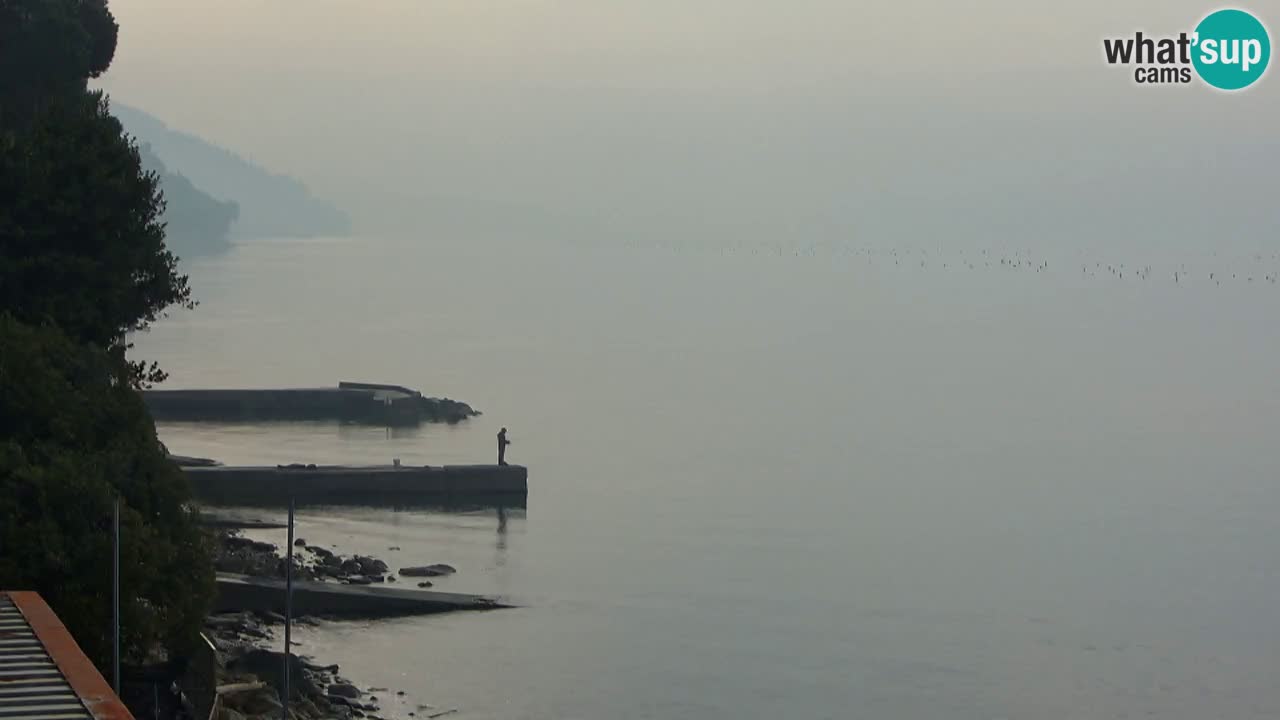 Webcam del restaurante BellaRiva | Costa de Trieste – vista hacia el castillo de Miramare