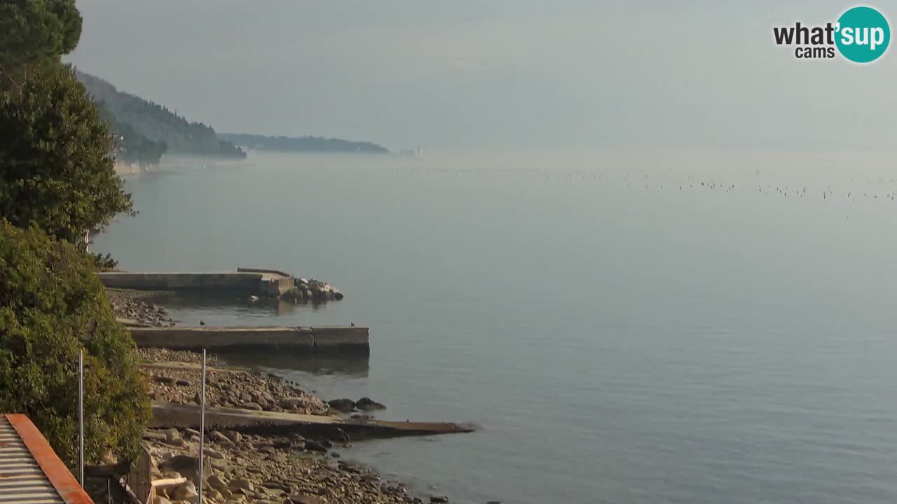 Trattoria BellaRiva webcam | Trieste costiera e castello di Miramare