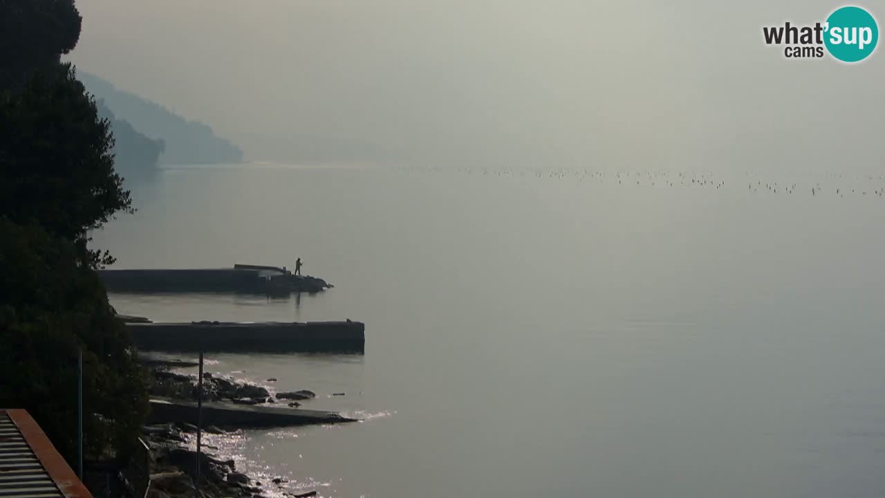 Webcam del restaurante BellaRiva | Costa de Trieste – vista hacia el castillo de Miramare