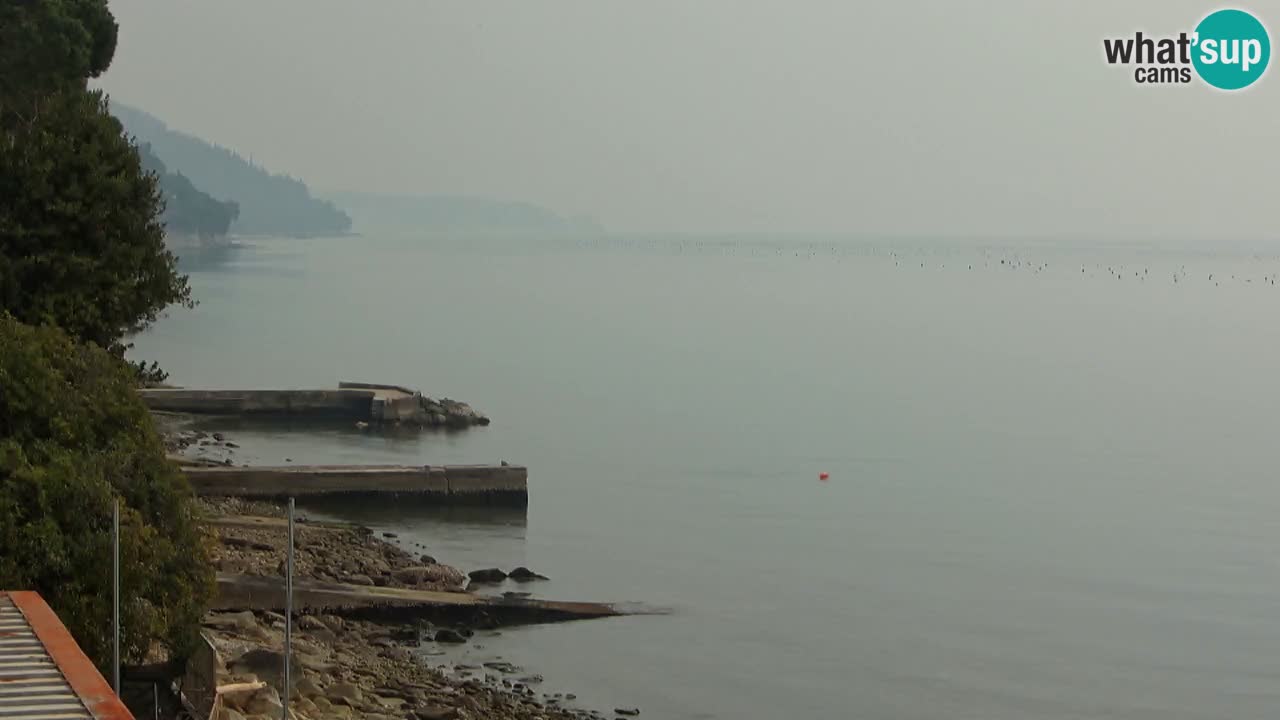 Webcam del restaurante BellaRiva | Costa de Trieste – vista hacia el castillo de Miramare