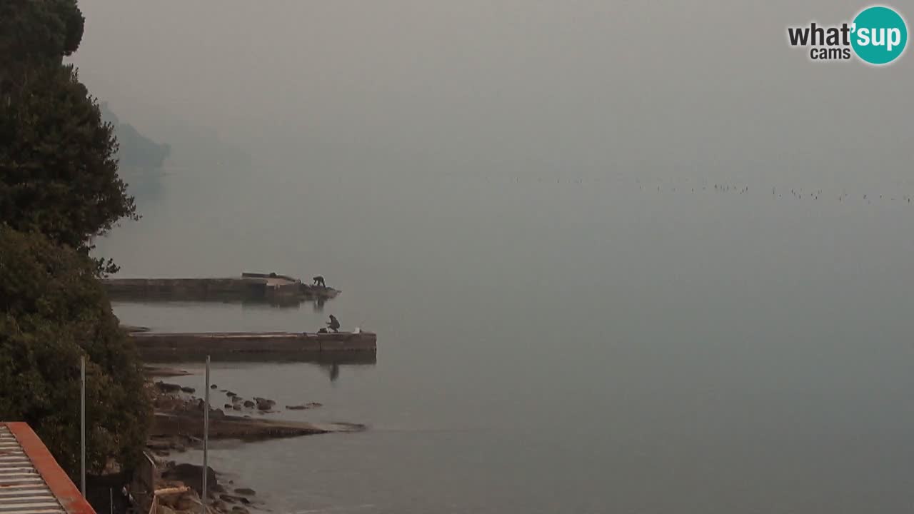 Webcam del restaurante BellaRiva | Costa de Trieste – vista hacia el castillo de Miramare