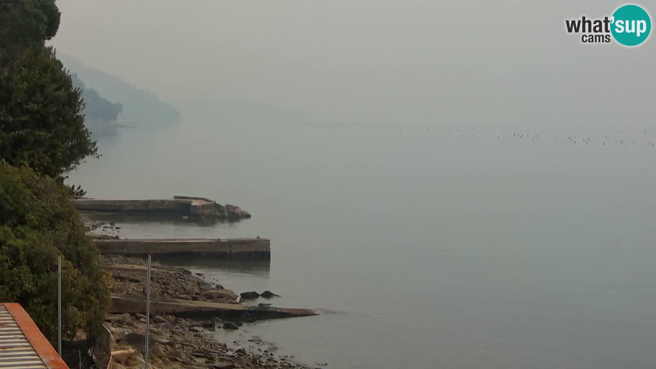 Trattoria BellaRiva webcam | Trieste costiera e castello di Miramare