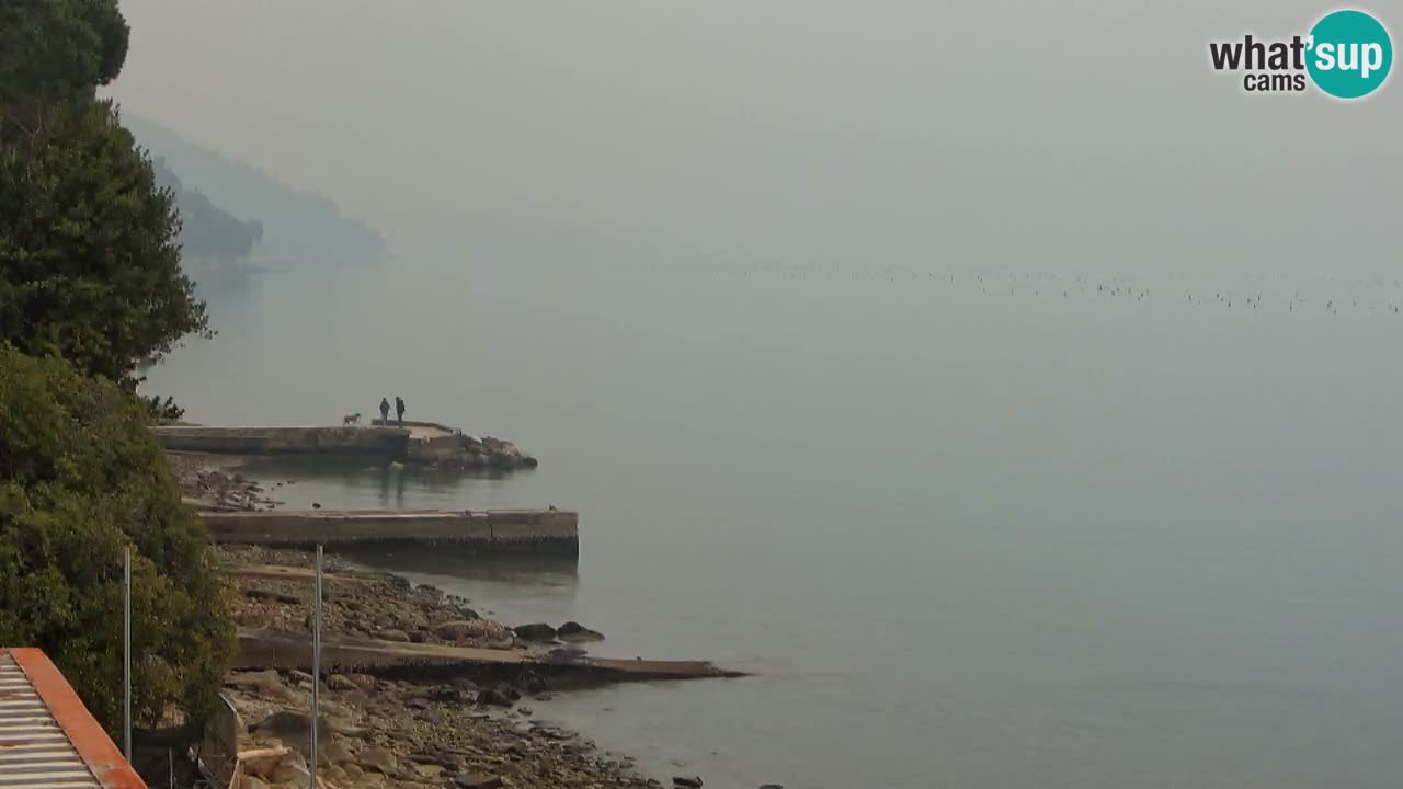 Trattoria BellaRiva webcam | Trieste costiera e castello di Miramare