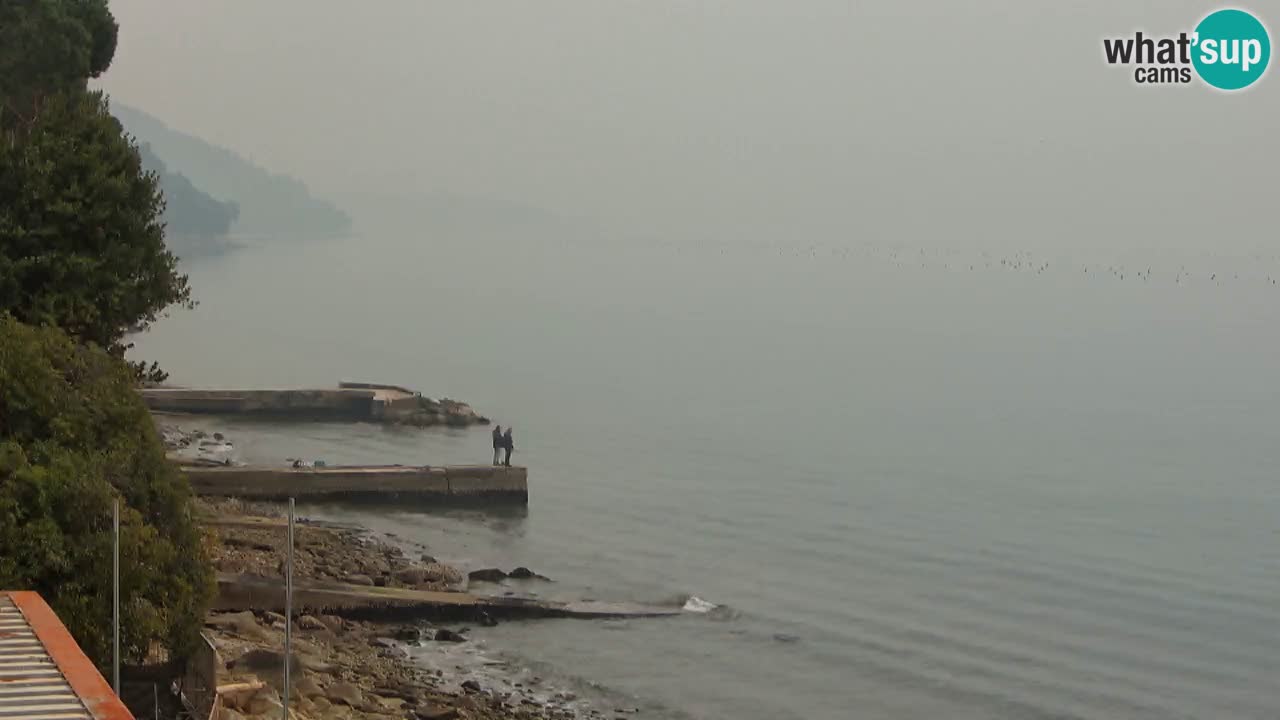 Trattoria BellaRiva webcam | Trieste costiera e castello di Miramare