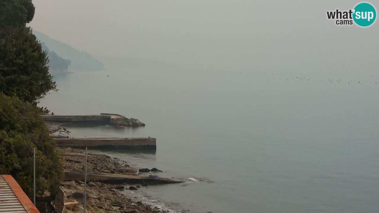 Webcam del restaurante BellaRiva | Costa de Trieste – vista hacia el castillo de Miramare