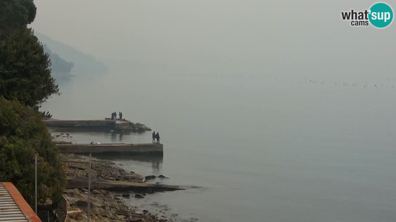 Trattoria BellaRiva webcam | Trieste costiera e castello di Miramare