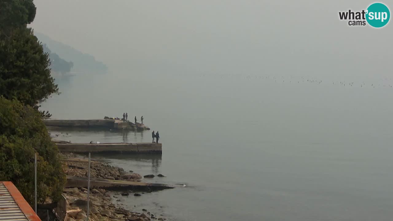 Trattoria BellaRiva webcam | Trieste costiera e castello di Miramare