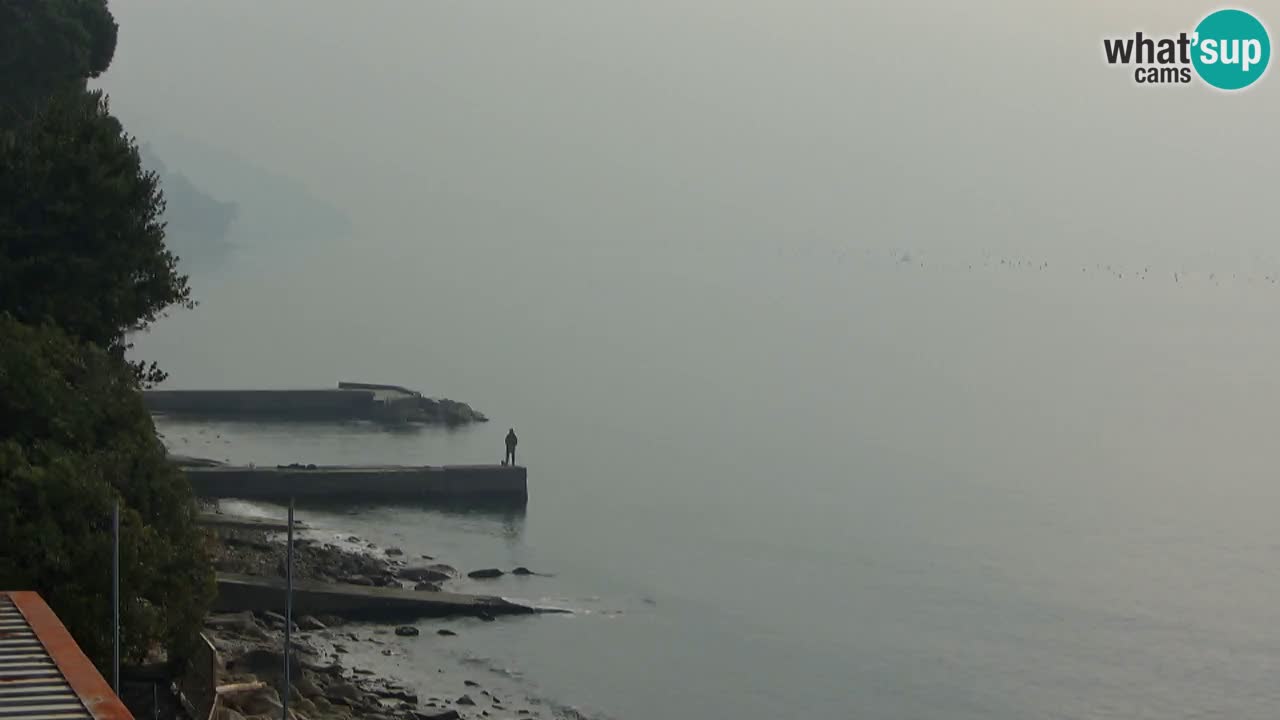 Webcam del restaurante BellaRiva | Costa de Trieste – vista hacia el castillo de Miramare