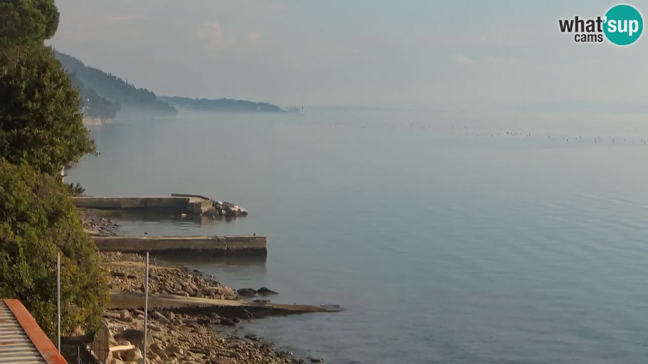 Webcam du restaurant BellaRiva | Côte de Trieste – vue sur le château de Miramare