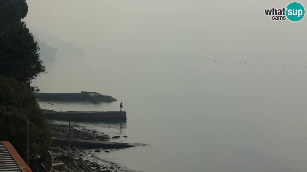 Webcam du restaurant BellaRiva | Côte de Trieste – vue sur le château de Miramare