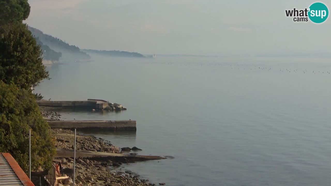 Webcam del restaurante BellaRiva | Costa de Trieste – vista hacia el castillo de Miramare