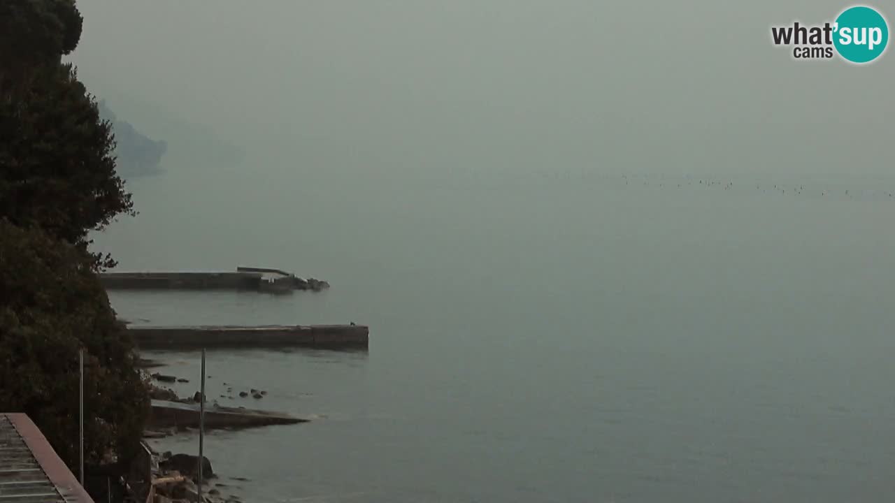 Webcam du restaurant BellaRiva | Côte de Trieste – vue sur le château de Miramare