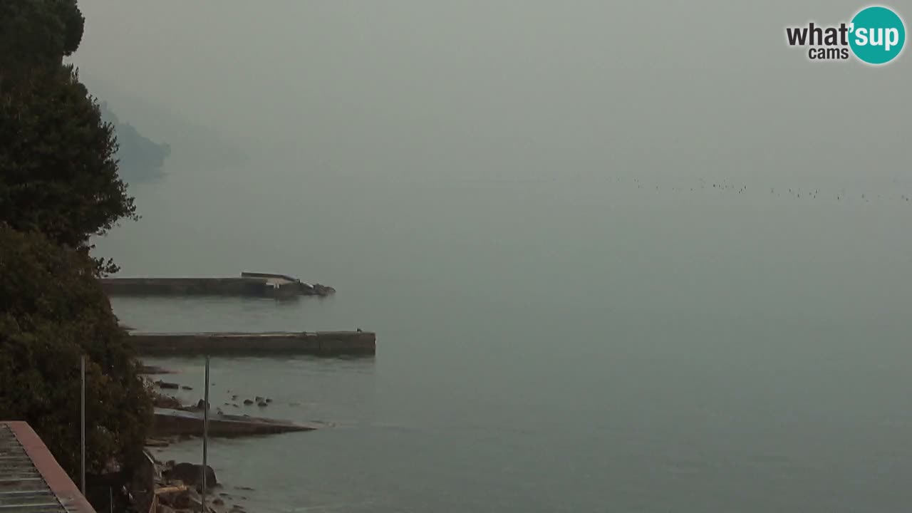 Webcam del restaurante BellaRiva | Costa de Trieste – vista hacia el castillo de Miramare