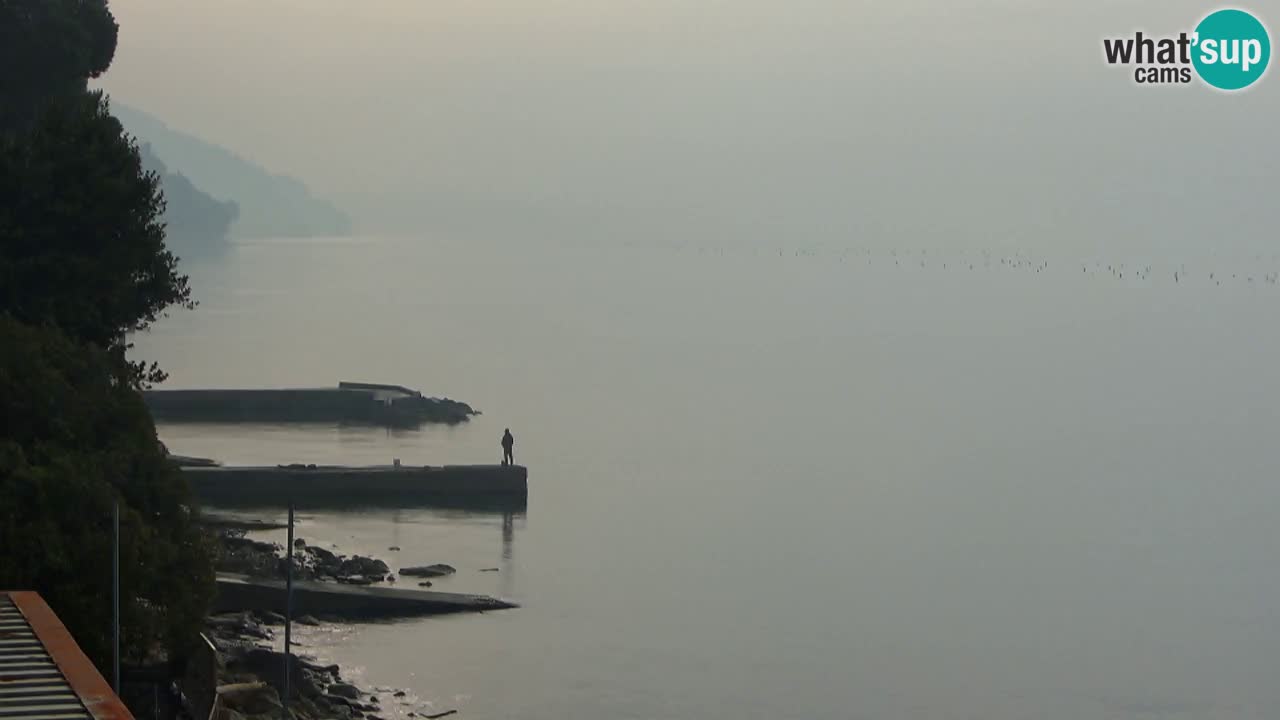 Webcam del restaurante BellaRiva | Costa de Trieste – vista hacia el castillo de Miramare