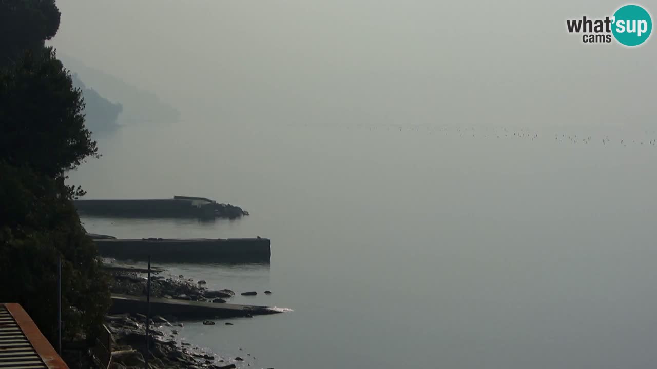 Webcam del restaurante BellaRiva | Costa de Trieste – vista hacia el castillo de Miramare