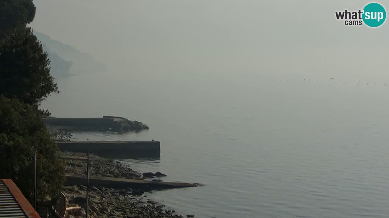 Webcam du restaurant BellaRiva | Côte de Trieste – vue sur le château de Miramare