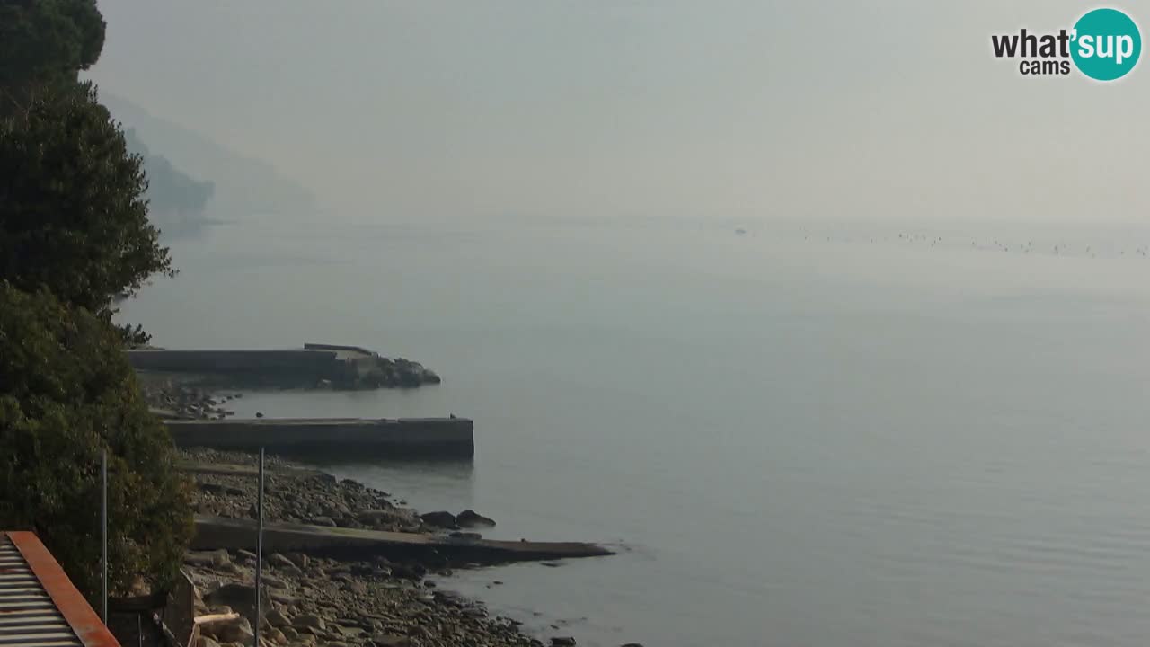 Webcam Restaurant BellaRiva | Küste von Triest – Blick auf das Schloss Miramare