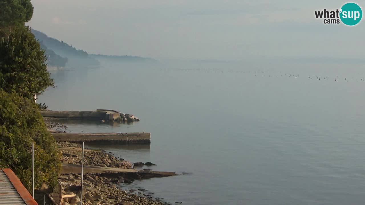 Webcam du restaurant BellaRiva | Côte de Trieste – vue sur le château de Miramare