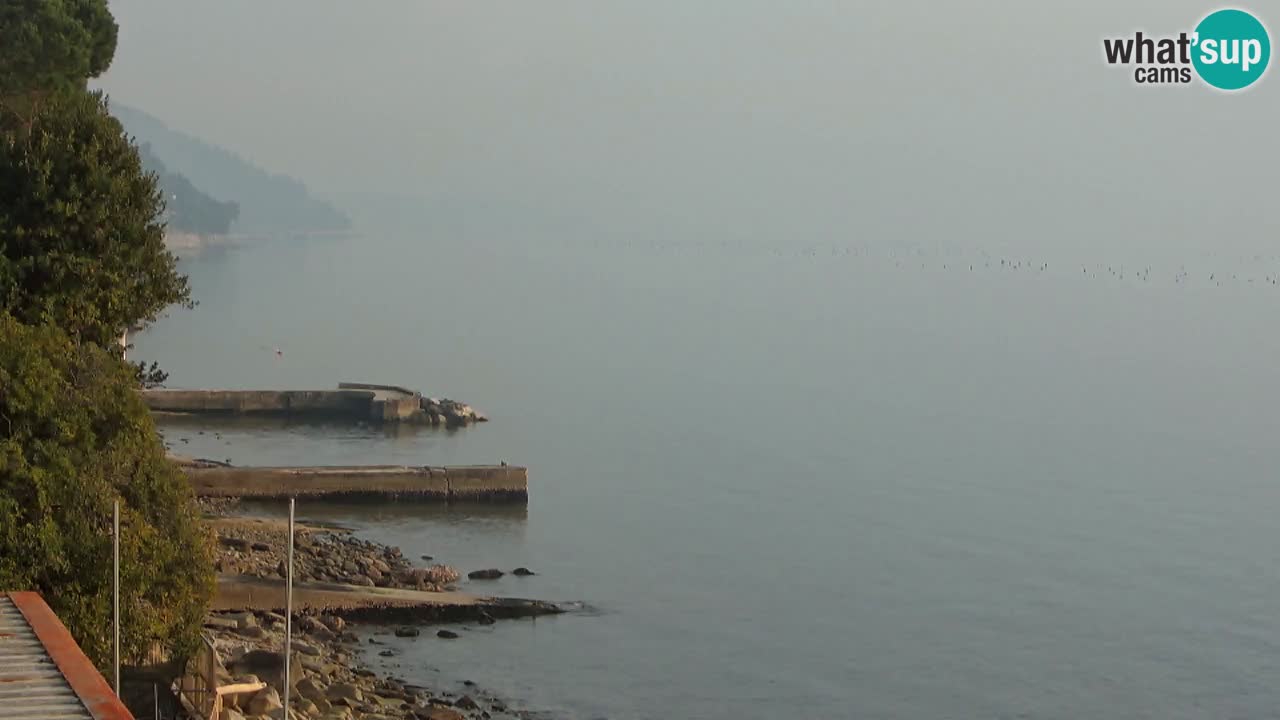 Webcam Restaurant BellaRiva | Küste von Triest – Blick auf das Schloss Miramare