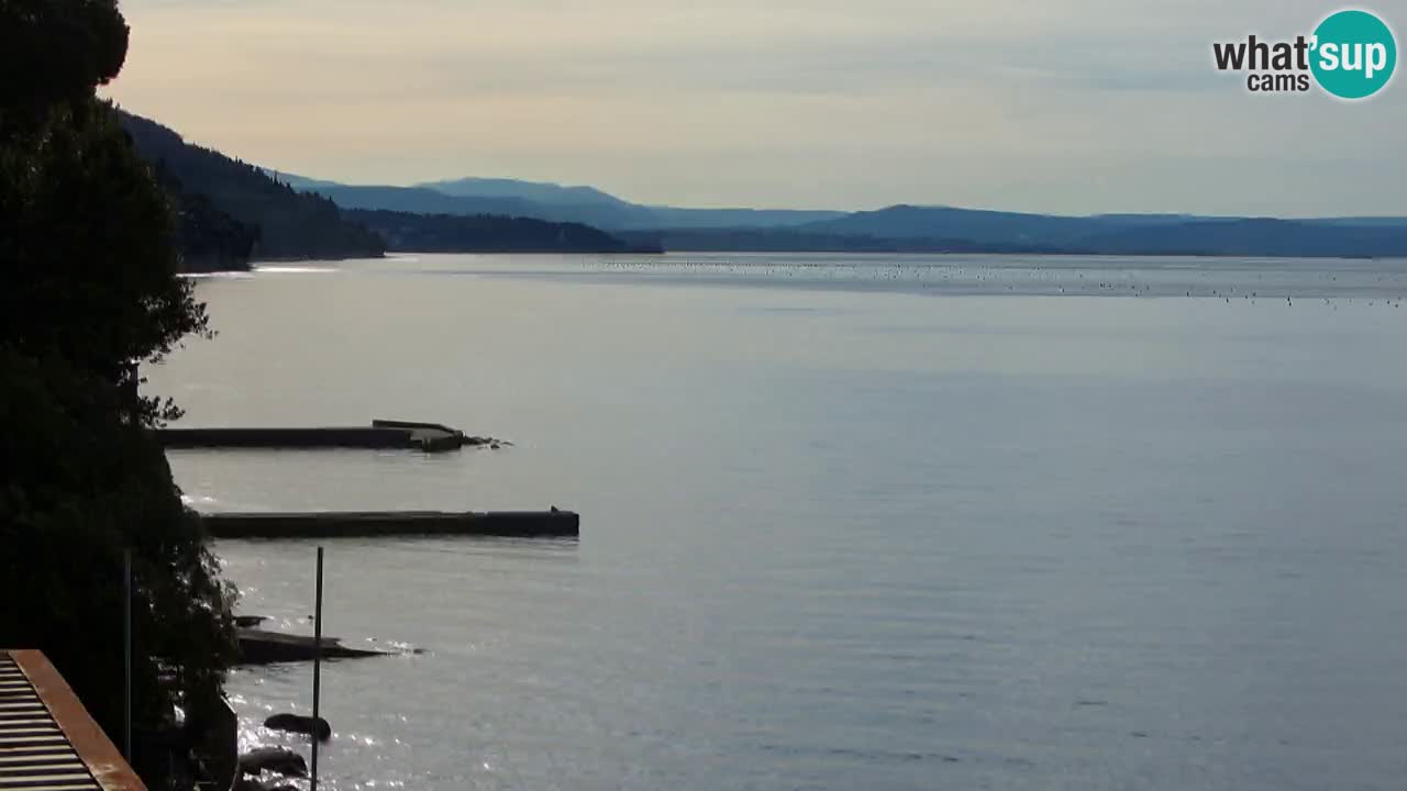 Webcam Restaurant BellaRiva | Küste von Triest – Blick auf das Schloss Miramare