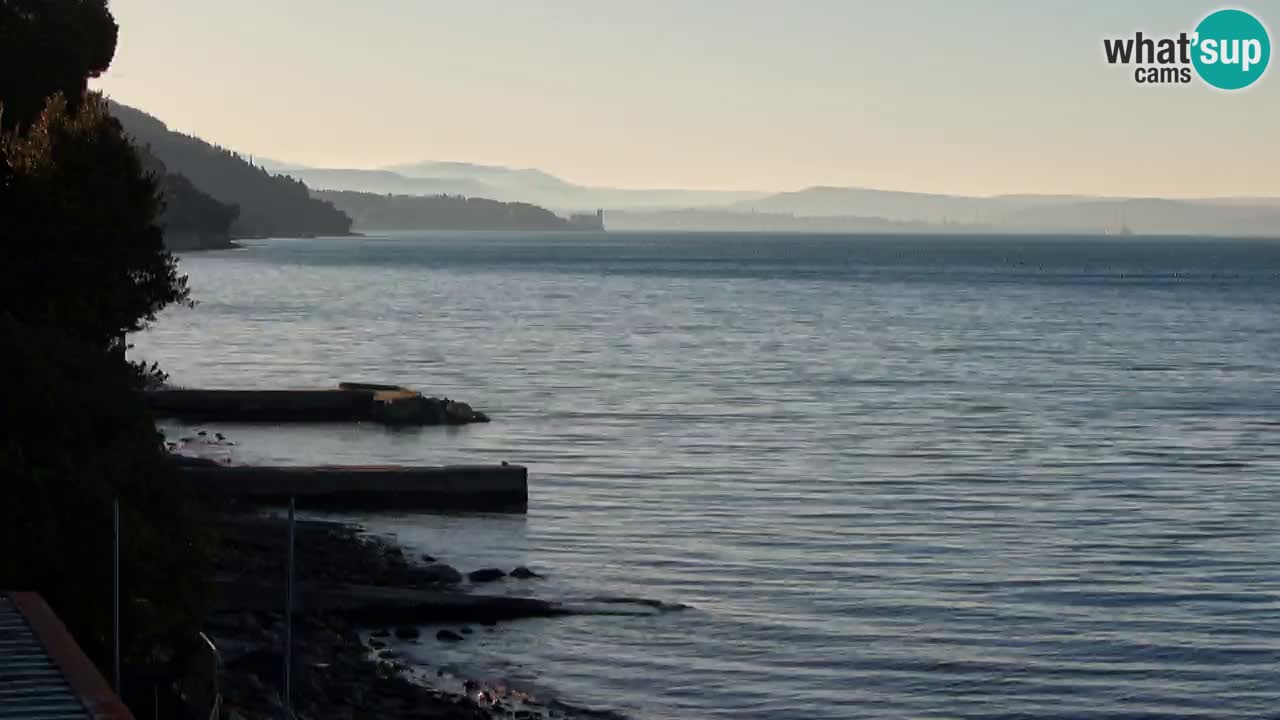 Webcam BellaRiva restaurant | Trieste coast – view to Miramare castle