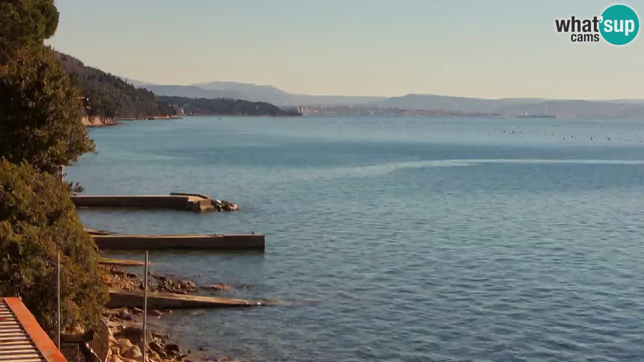 Webcam del restaurante BellaRiva | Costa de Trieste – vista hacia el castillo de Miramare