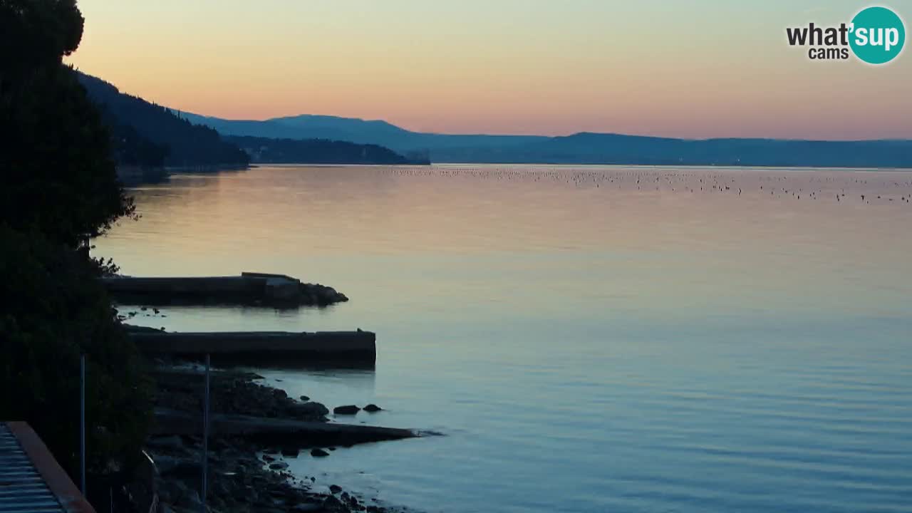 Webcam du restaurant BellaRiva | Côte de Trieste – vue sur le château de Miramare