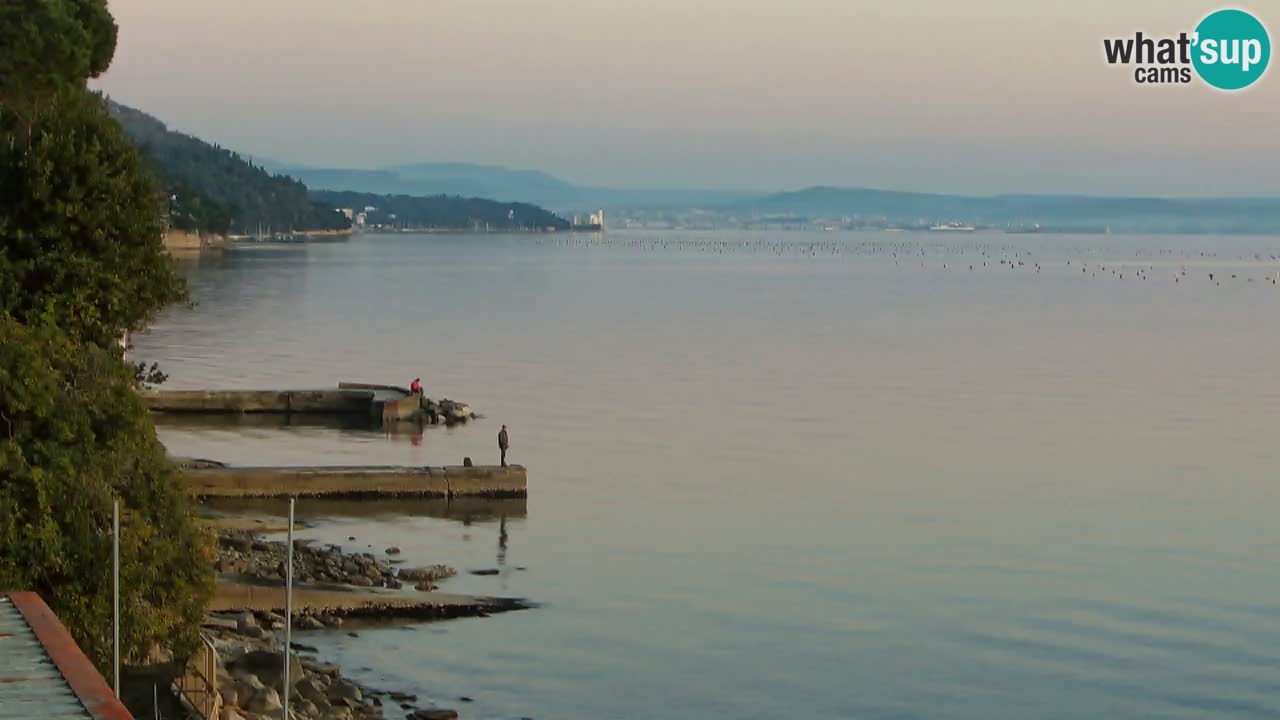 Webcam BellaRiva restaurant | Trieste coast – view to Miramare castle