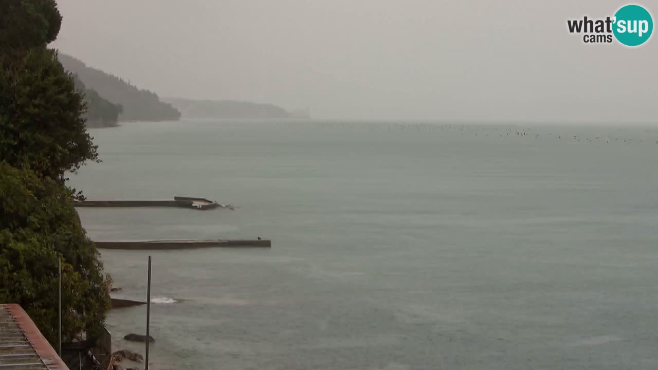 Webcam del restaurante BellaRiva | Costa de Trieste – vista hacia el castillo de Miramare