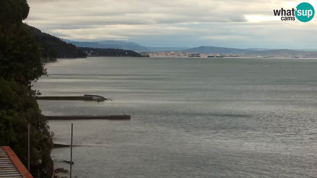 Webcam del restaurante BellaRiva | Costa de Trieste – vista hacia el castillo de Miramare