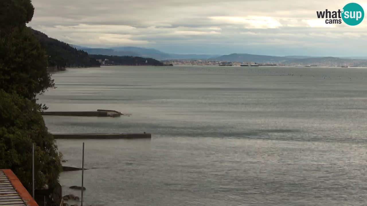 Webcam del restaurante BellaRiva | Costa de Trieste – vista hacia el castillo de Miramare